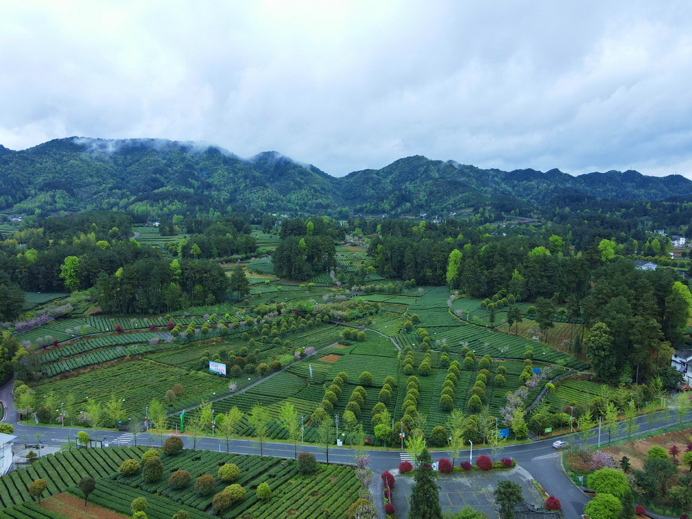 DJI_0122.jpg